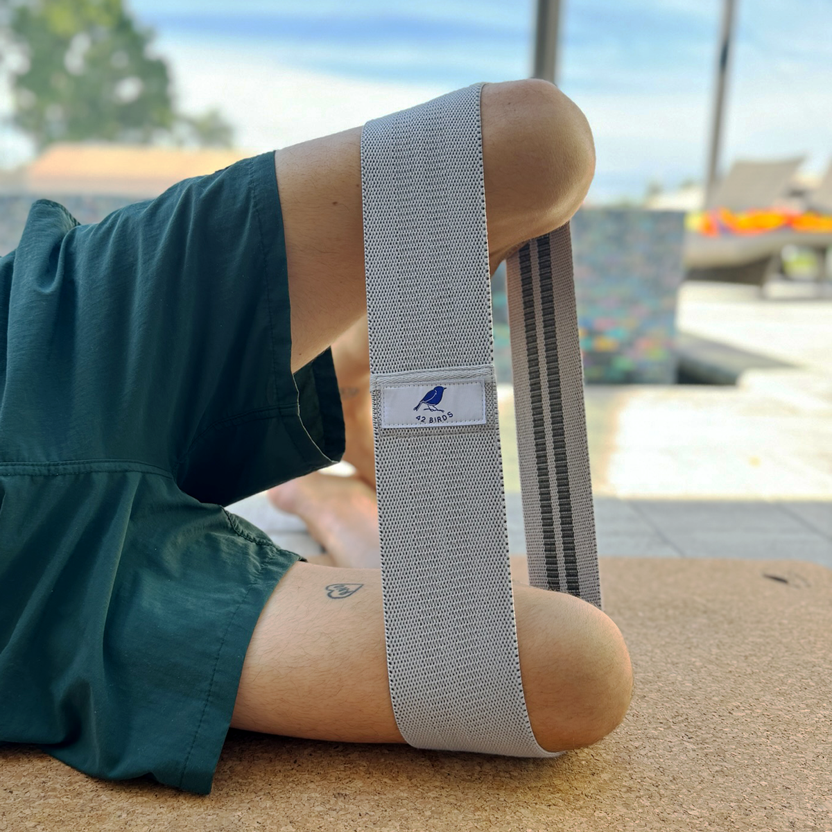 42 Birds Resistance Bands | 42 Birds