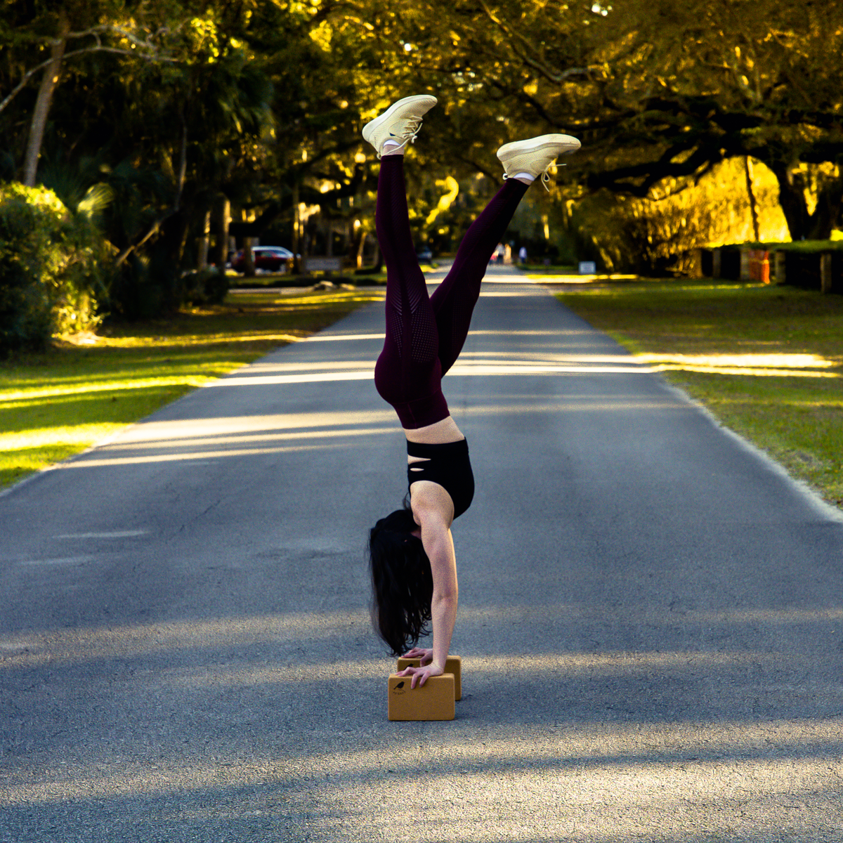 Cork Yoga Two-Block Bundle “The Nuthatch” | 42 Birds