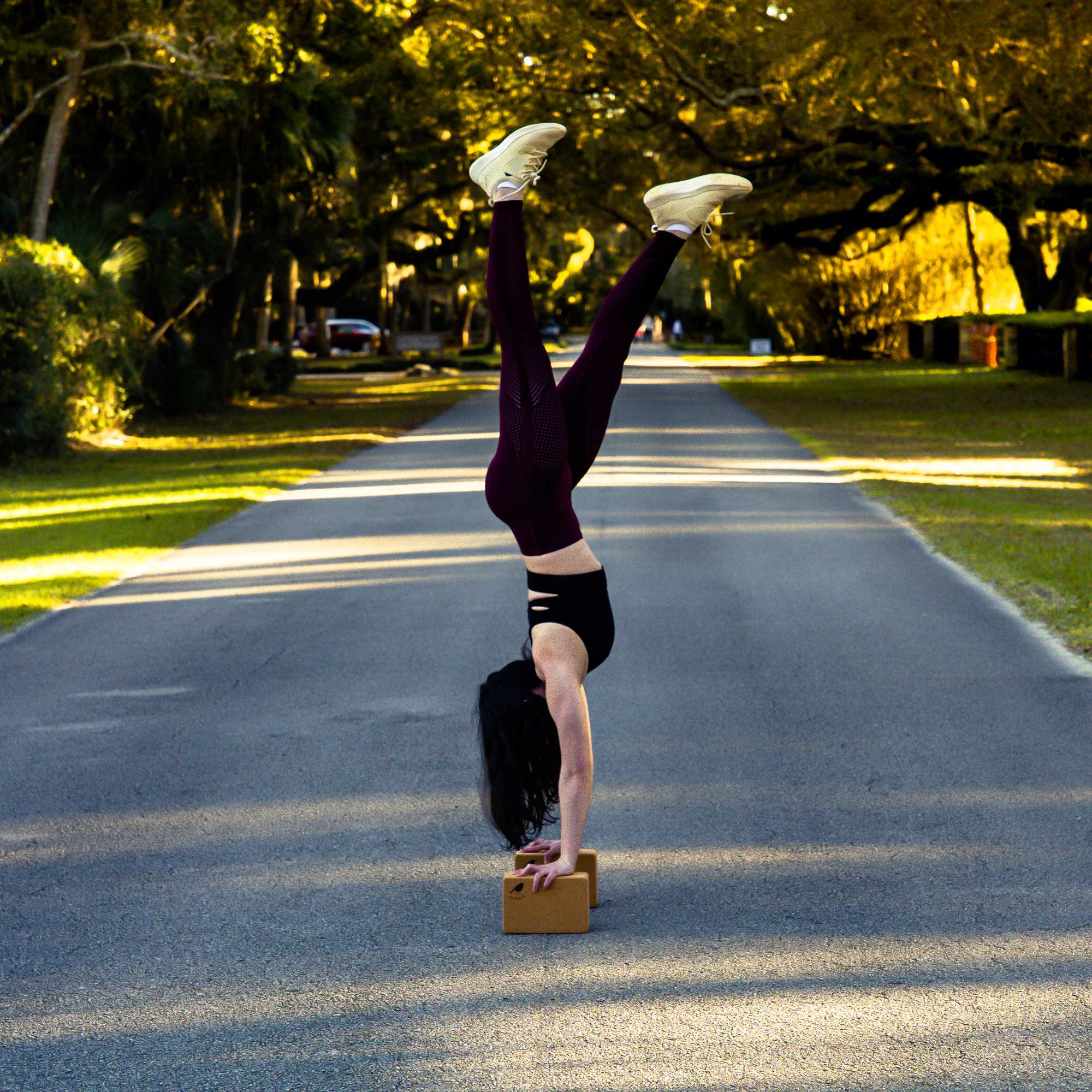 Cork Yoga Two-Block Bundle “The Nuthatch” - 42 Birds