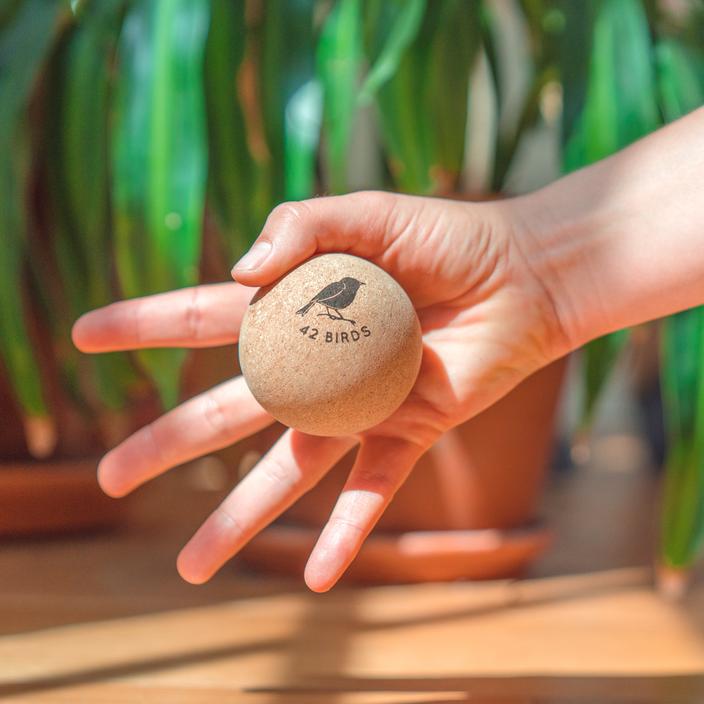Cork Lightweight Yoga Mat and Massage Balls Bundle | 42 Birds