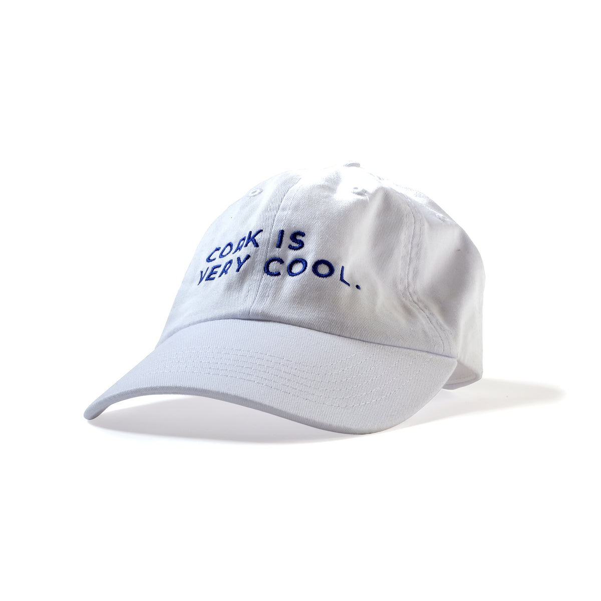 CORK IS VERY COOL HAT | 42 Birds