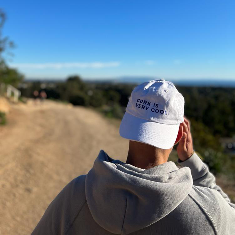 CORK IS VERY COOL HAT | 42 Birds